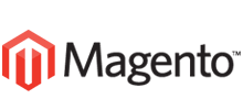 ecommerce website using magento
